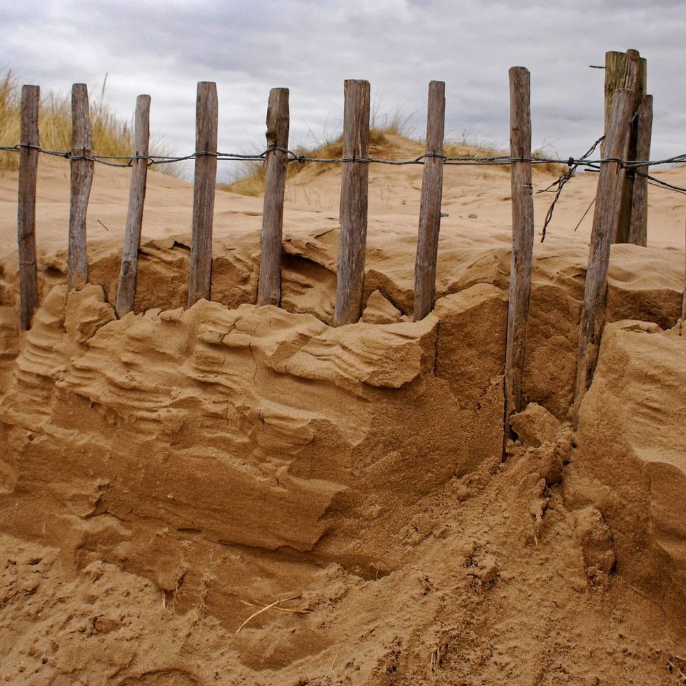 Extraction de sable — Wikipédia