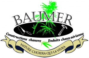 Logo BAUMER